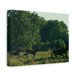 Load image into Gallery viewer, "Following the Herd" Canvas
