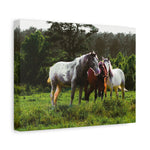 Load image into Gallery viewer, Copy of "A Family of Many Colors" Canvas
