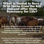 Load image into Gallery viewer, $1,770 in MONTHLY SPONSORSHIPS still needed to save 3 BLM Mustangs and a Reservation Mustang Family of 6 from Kill Buyers!!!!
