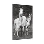 Load image into Gallery viewer, "Tristan: From Wild to Worth" Canvas

