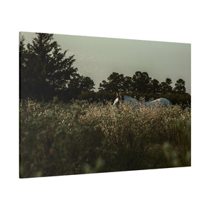 "The Watcher of the Field" Canvas