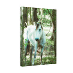 Load image into Gallery viewer, "Curiously Quiet" Canvas
