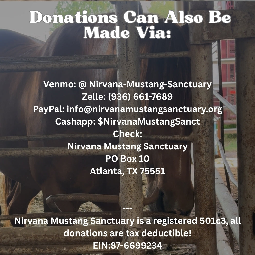 $1,770 in MONTHLY SPONSORSHIPS still needed to save 3 BLM Mustangs and a Reservation Mustang Family of 6 from Kill Buyers!!!!