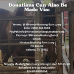 Load image into Gallery viewer, $1,770 in MONTHLY SPONSORSHIPS still needed to save 3 BLM Mustangs and a Reservation Mustang Family of 6 from Kill Buyers!!!!
