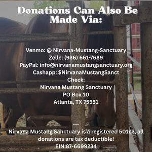$1,770 in MONTHLY SPONSORSHIPS still needed to save 3 BLM Mustangs and a Reservation Mustang Family of 6 from Kill Buyers!!!!