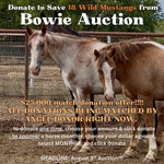 Load image into Gallery viewer, $3,100 in MONTHLY SPONSORSHIPS still needed to save 16 Mustangs from Kill Buyers at Auction!
