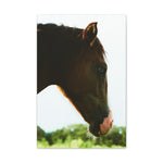 Load image into Gallery viewer, "Baby Henley's Eyes" Canvas
