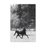 Load image into Gallery viewer, "Good Running Wild" Canvas
