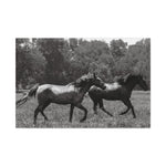 Load image into Gallery viewer, "Shadows in Motion" Canvas
