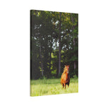Load image into Gallery viewer, Copy of "Ely-Running in the Sunlight" Canvas

