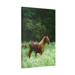 Load image into Gallery viewer, "Painted in the Sunlight" Canvas
