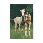 Load image into Gallery viewer, "Wild Hearts, Side by Side" Canvas
