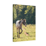Load image into Gallery viewer, "Magnolia's Path" Canvas
