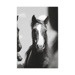 Load image into Gallery viewer, "Tristan: From Wild to Worth" Canvas
