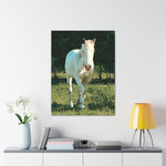 Load image into Gallery viewer, "Where the Light Finds Him" Canvas
