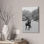 Load image into Gallery viewer, Copy of "Casting Shadows" Canvas
