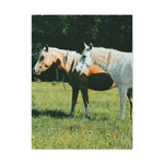Load image into Gallery viewer, "A Shared Focus" Canvas
