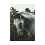 Load image into Gallery viewer, "White Horse" Canvas

