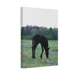 Load image into Gallery viewer, "Indigo Growing Strong and Wild" Canvas
