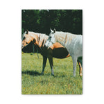 Load image into Gallery viewer, "A Shared Focus" Canvas
