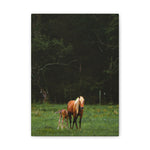 Load image into Gallery viewer, "The First Lessons of Love" Canvas
