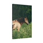 Load image into Gallery viewer, "Standing Guard" Canvas
