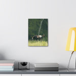 Load image into Gallery viewer, "Thor: Born Free at Nirvana" Canvas
