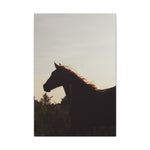 Load image into Gallery viewer, "Where He Belongs" Canvas
