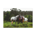 Load image into Gallery viewer, Copy of "A Family of Many Colors" Canvas
