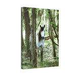 Load image into Gallery viewer, "Hidden in the Quiet-Nizhoni" Canvas
