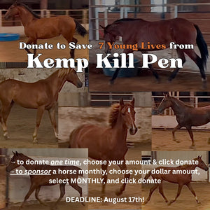 $31,500 in One-Time Donations and $1,400 in Monthly Sponsorships Left to Raise to Save 7 Yearling Mustangs from Kill Pen!!!!
