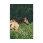 Load image into Gallery viewer, "Standing Guard" Canvas
