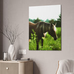 Load image into Gallery viewer, "Halo of the Wild" Canvas
