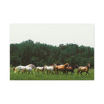 Load image into Gallery viewer, "Leader of the Herd" Canvas
