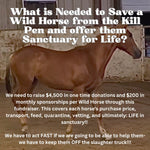 Load image into Gallery viewer, $31,500 in One-Time Donations and $1,400 in Monthly Sponsorships Left to Raise to Save 7 Yearling Mustangs from Kill Pen!!!!
