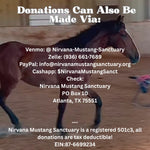 Load image into Gallery viewer, $31,500 in One-Time Donations and $1,400 in Monthly Sponsorships Left to Raise to Save 7 Yearling Mustangs from Kill Pen!!!!
