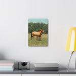 Load image into Gallery viewer, "In Her Footsteps" Canvas
