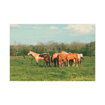 Load image into Gallery viewer, "Together in the Meadow" Canvas
