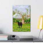 Load image into Gallery viewer, "Midnight Blooms" Canvas
