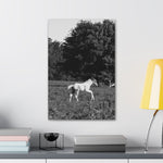Load image into Gallery viewer, "A Moment in Play" Canvas
