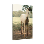 Load image into Gallery viewer, "A Mark of His Own" Canvas
