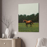 Load image into Gallery viewer, "Wild in the Sun" Canvas
