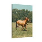 Load image into Gallery viewer, "In Her Footsteps" Canvas
