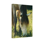 Load image into Gallery viewer, "Within Reach" Canvas
