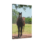 Load image into Gallery viewer, "Where the Sun Finds Them" Canvas
