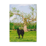 Load image into Gallery viewer, "Midnight Blooms" Canvas
