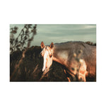 Load image into Gallery viewer, "Clothed in Light" Canvas
