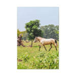 Load image into Gallery viewer, "Atticus-Still Walking Free" Canvas
