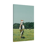 Load image into Gallery viewer, "Oliver Comes to Investigate" Canvas
