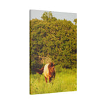 Load image into Gallery viewer, "Lit by the Wild" Canvas
